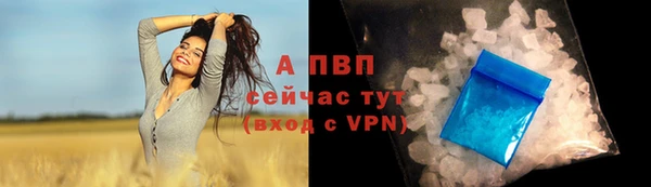 прущая мука Богородск
