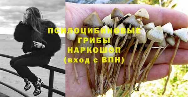 прущая мука Богородск