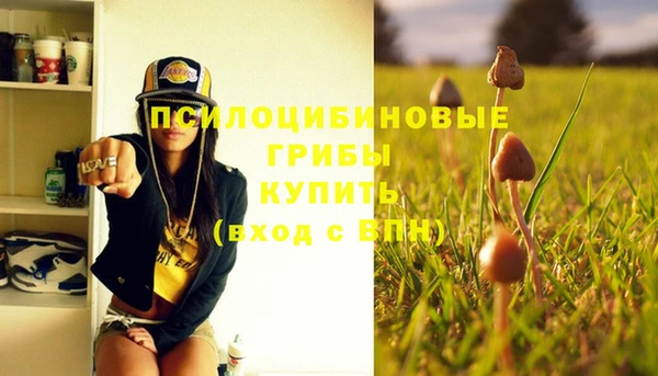 кокаин премиум Богданович