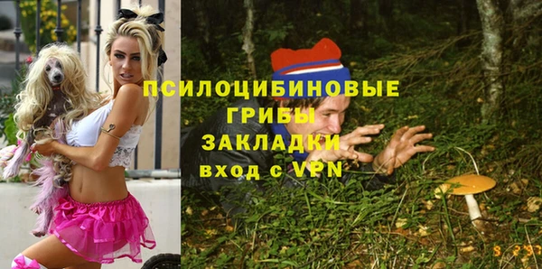 гидропоника Богородицк